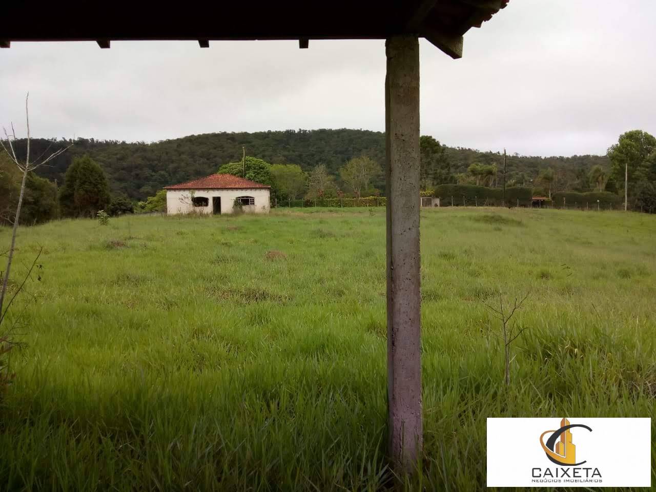 Fazenda à venda com 5 quartos, 28000m² - Foto 9