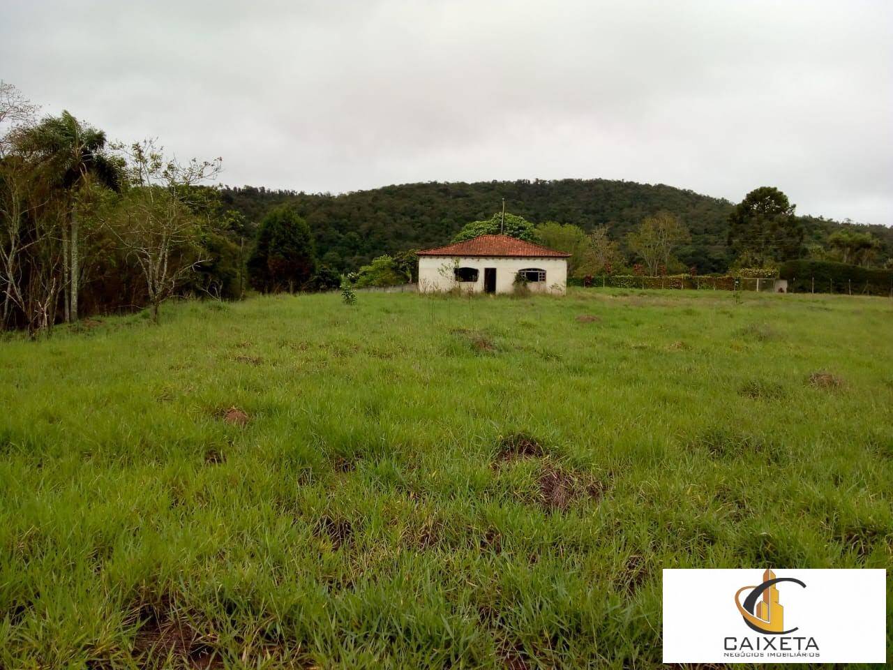 Fazenda à venda com 5 quartos, 28000m² - Foto 10