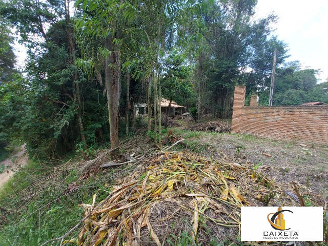 Fazenda à venda com 4 quartos, 300m² - Foto 15