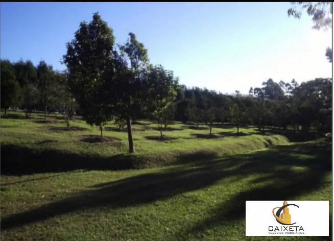 Fazenda à venda com 1 quarto, 40000m² - Foto 9