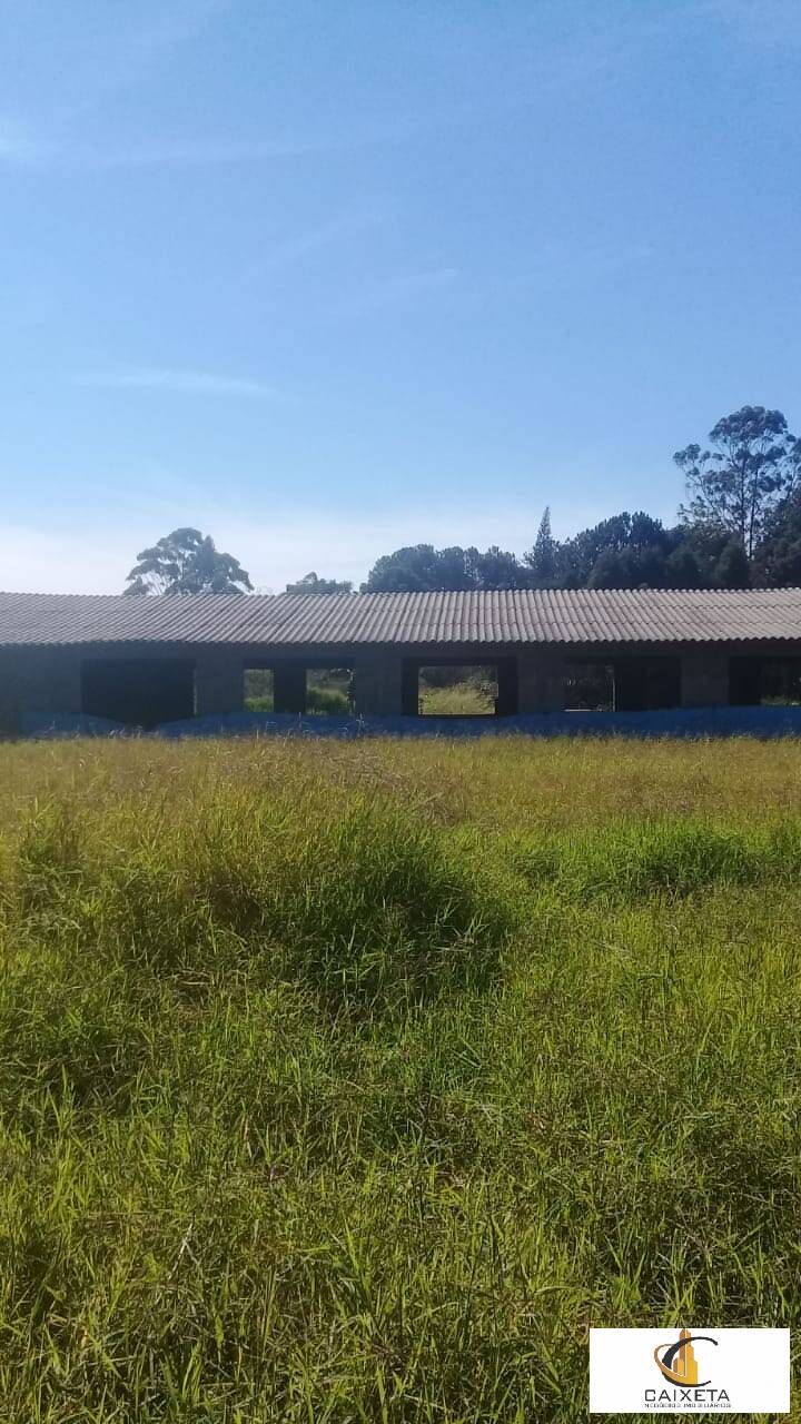 Fazenda à venda com 3 quartos, 20000m² - Foto 4