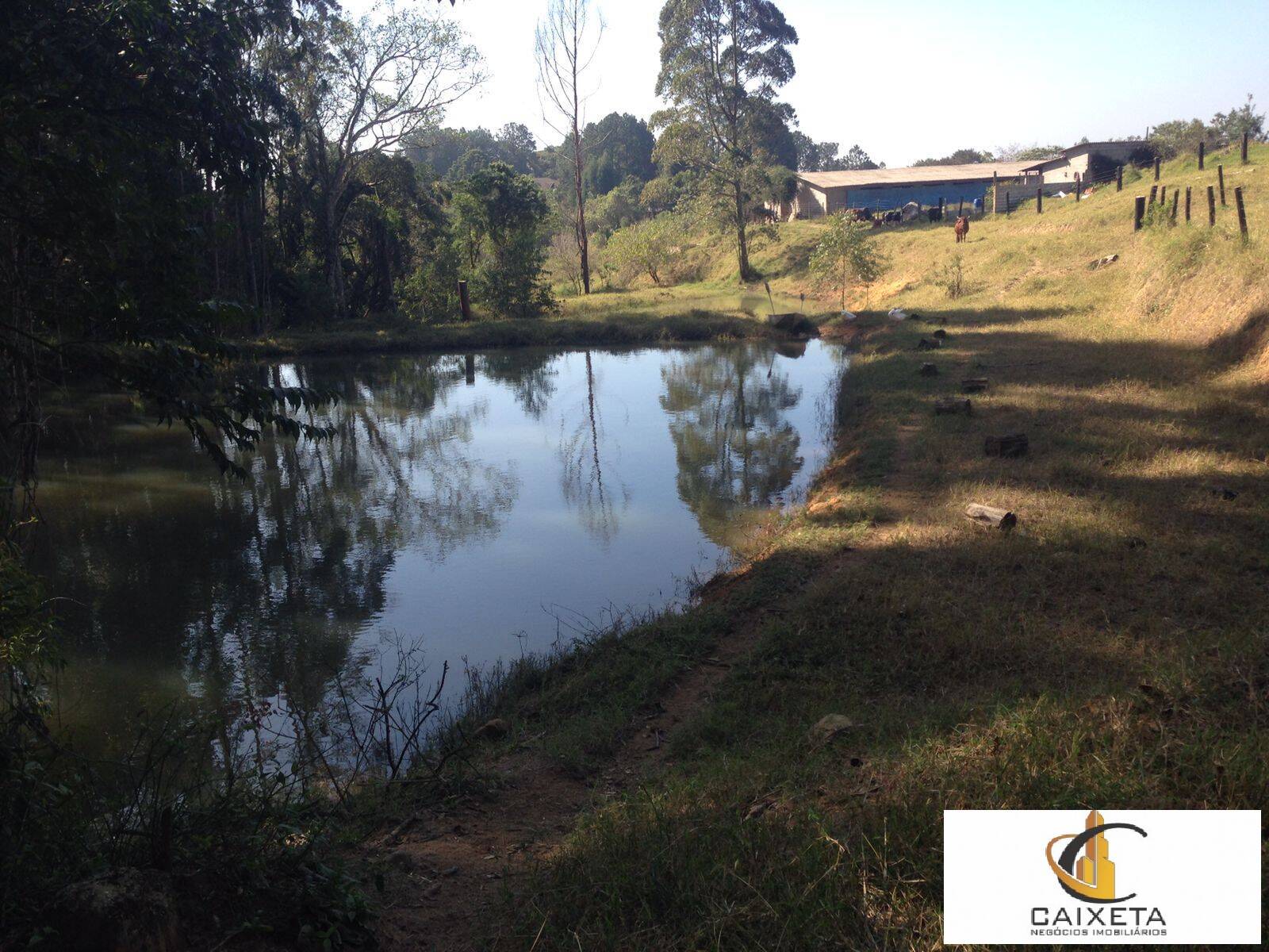 Fazenda à venda com 3 quartos, 20000m² - Foto 17