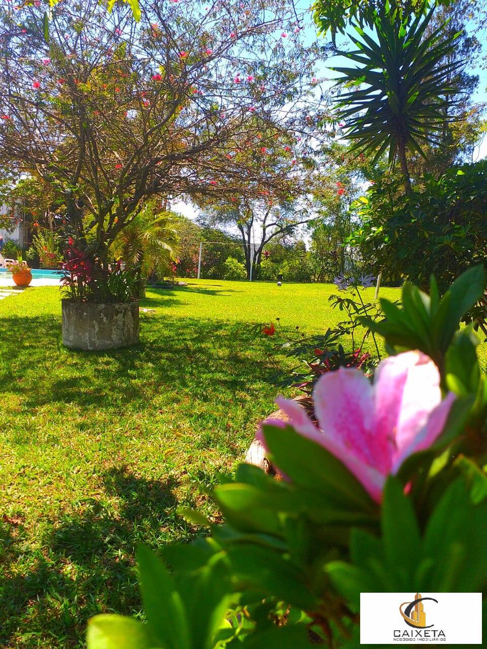 Fazenda à venda com 6 quartos, 300m² - Foto 6