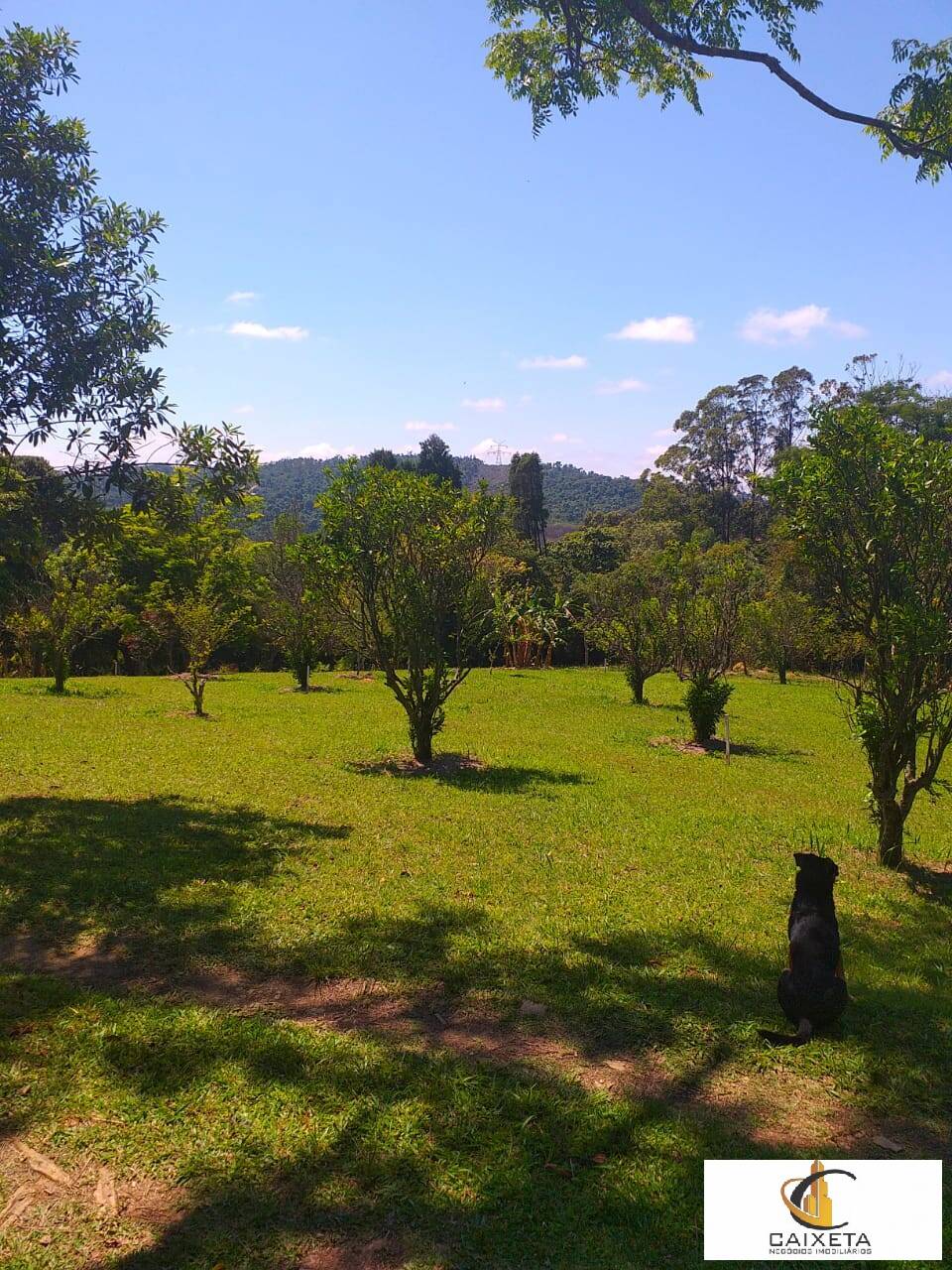 Fazenda à venda com 6 quartos, 300m² - Foto 27