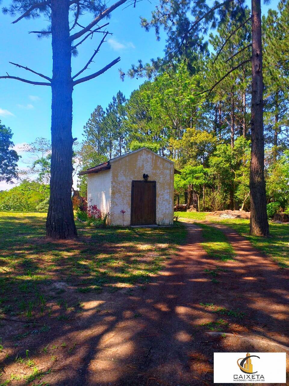 Fazenda à venda com 6 quartos, 300m² - Foto 28