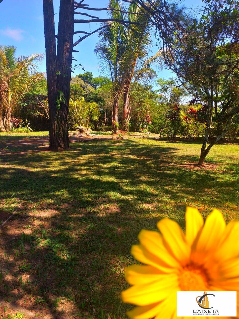 Fazenda à venda com 6 quartos, 300m² - Foto 29