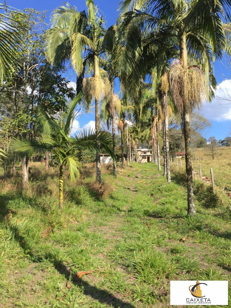 Terreno à venda, 38000m² - Foto 2