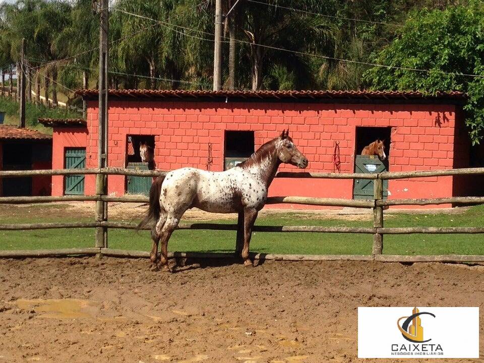 Fazenda à venda com 6 quartos, 550m² - Foto 46