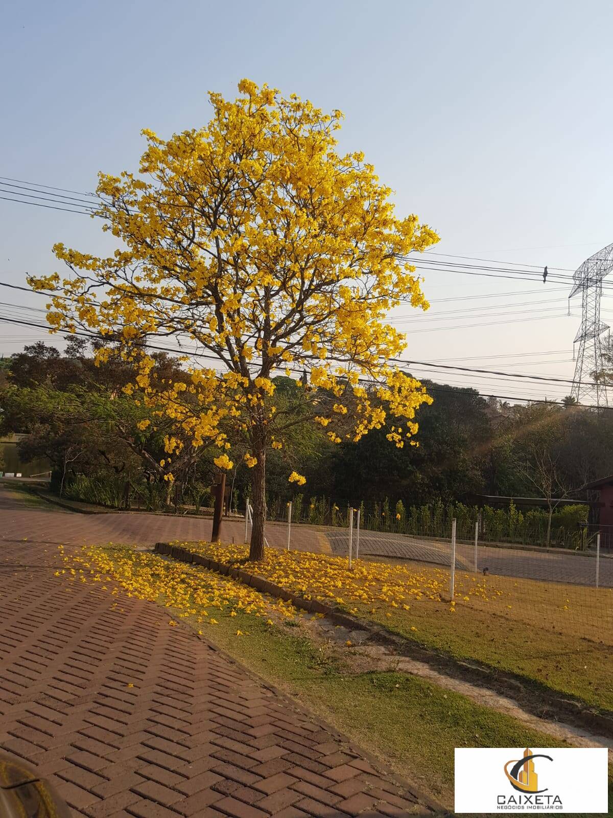 Casa de Condomínio à venda com 3 quartos, 378m² - Foto 54