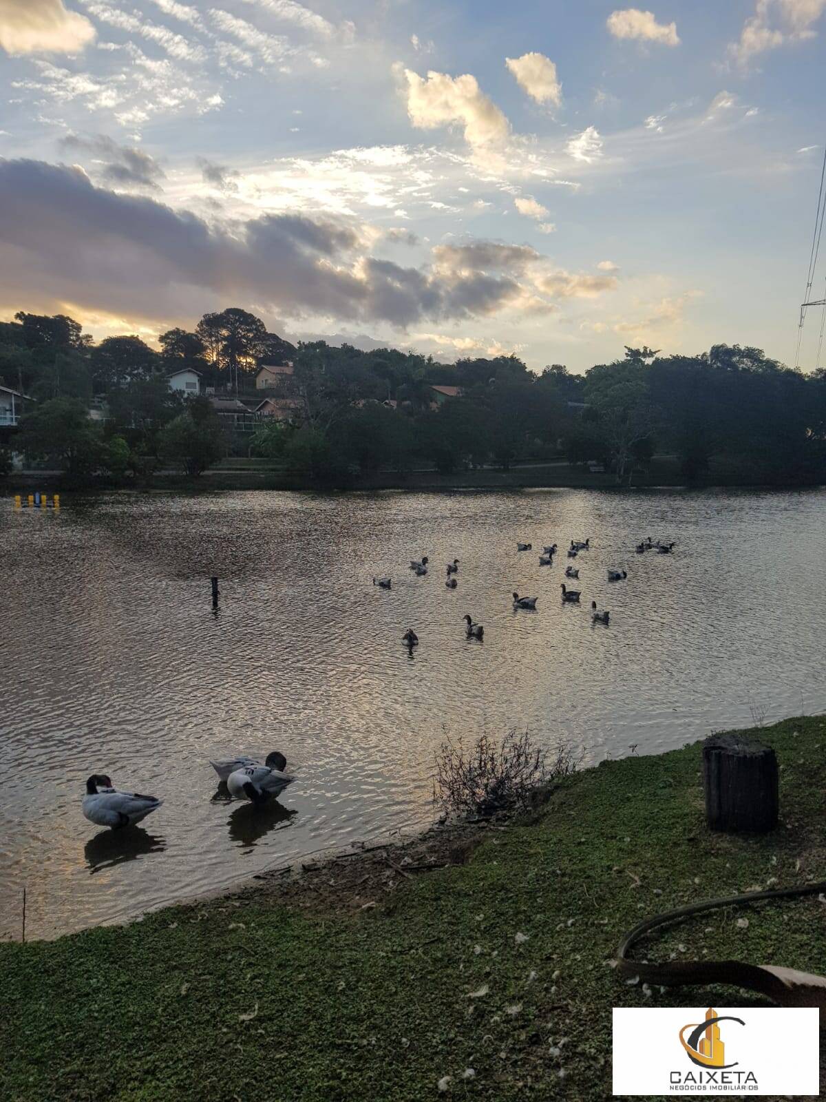 Fazenda à venda e aluguel com 2 quartos, 250m² - Foto 26