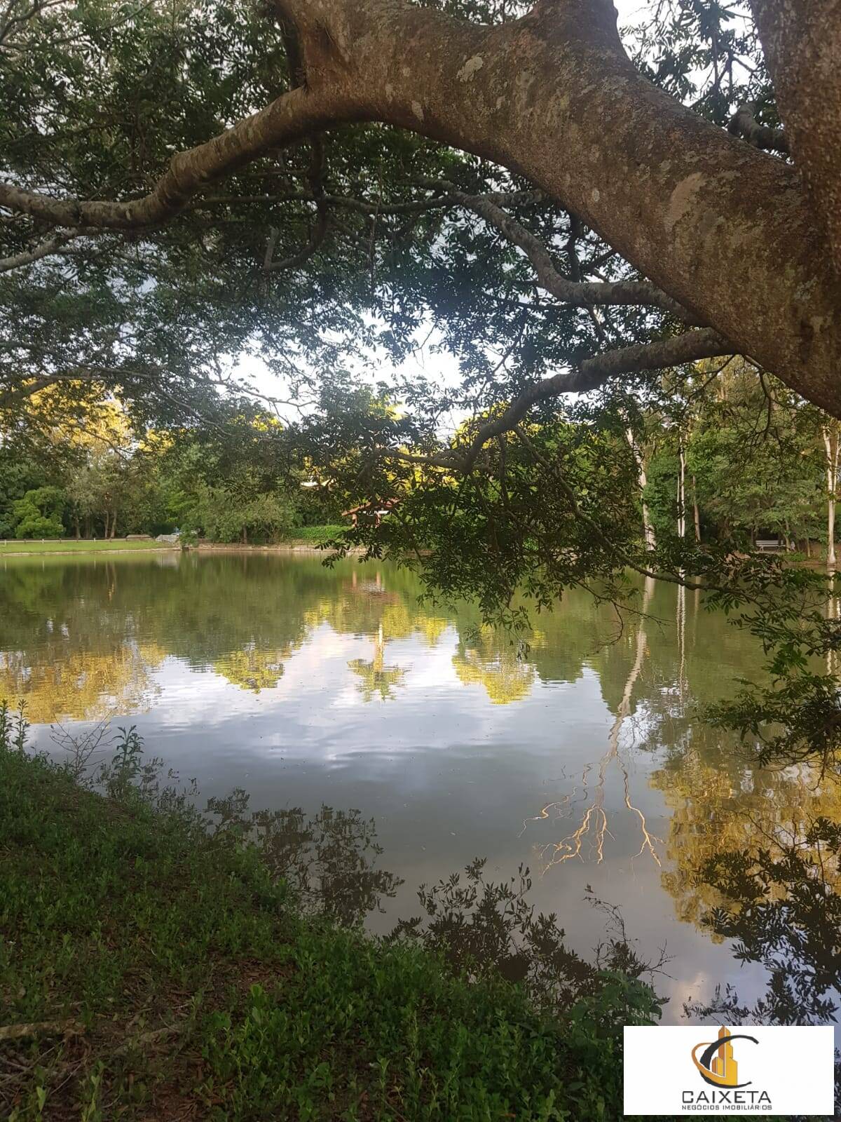 Fazenda à venda e aluguel com 2 quartos, 250m² - Foto 34