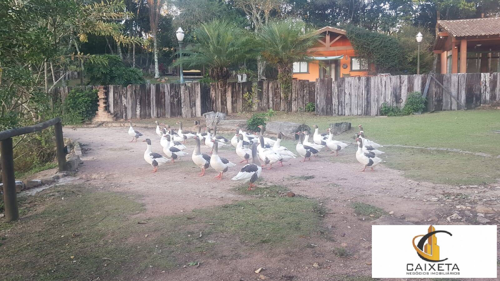 Fazenda à venda e aluguel com 2 quartos, 250m² - Foto 50