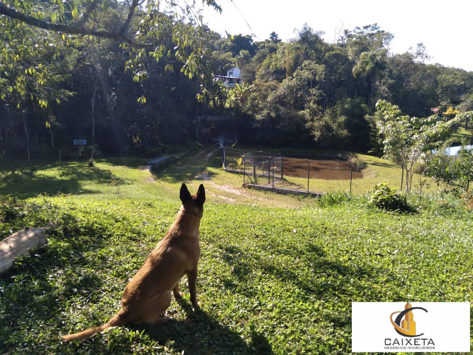 Fazenda à venda com 2 quartos, 230m² - Foto 20