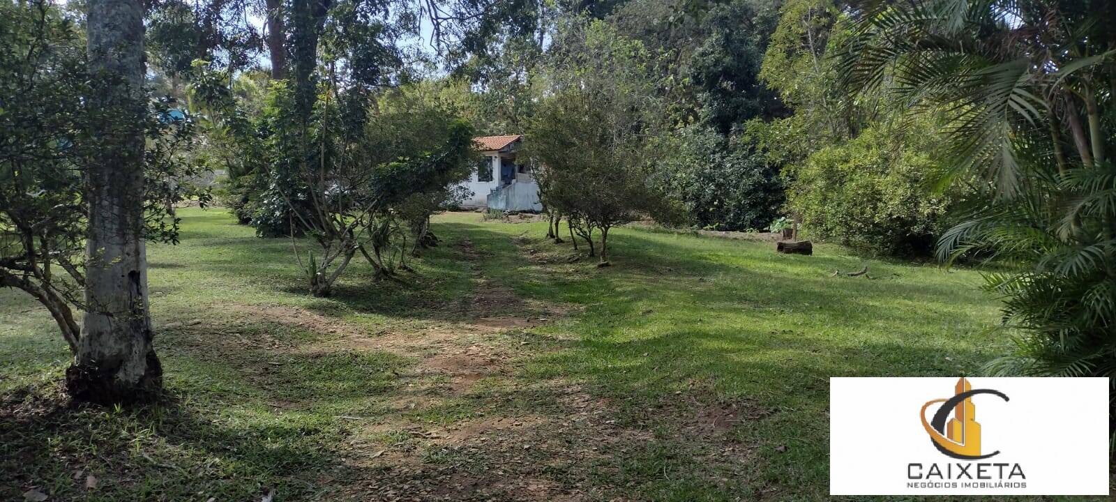 Fazenda à venda com 4 quartos, 640m² - Foto 73