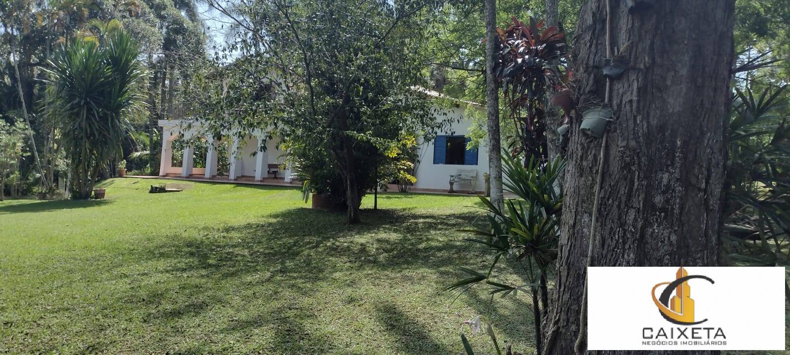 Fazenda à venda com 4 quartos, 640m² - Foto 19