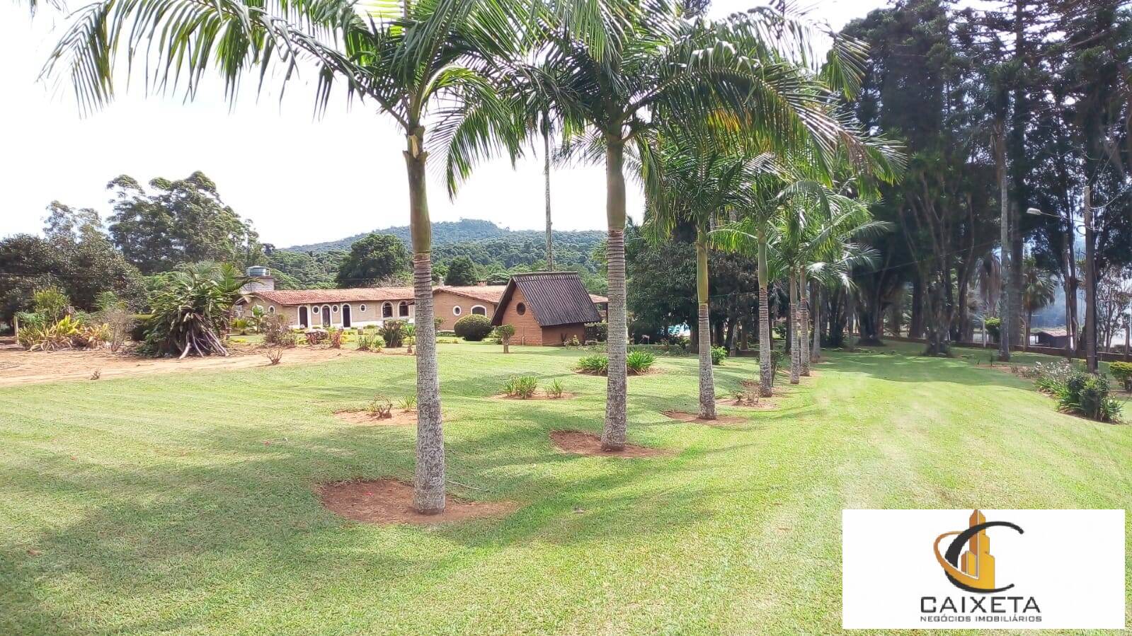 Fazenda à venda com 8 quartos, 24200m² - Foto 7