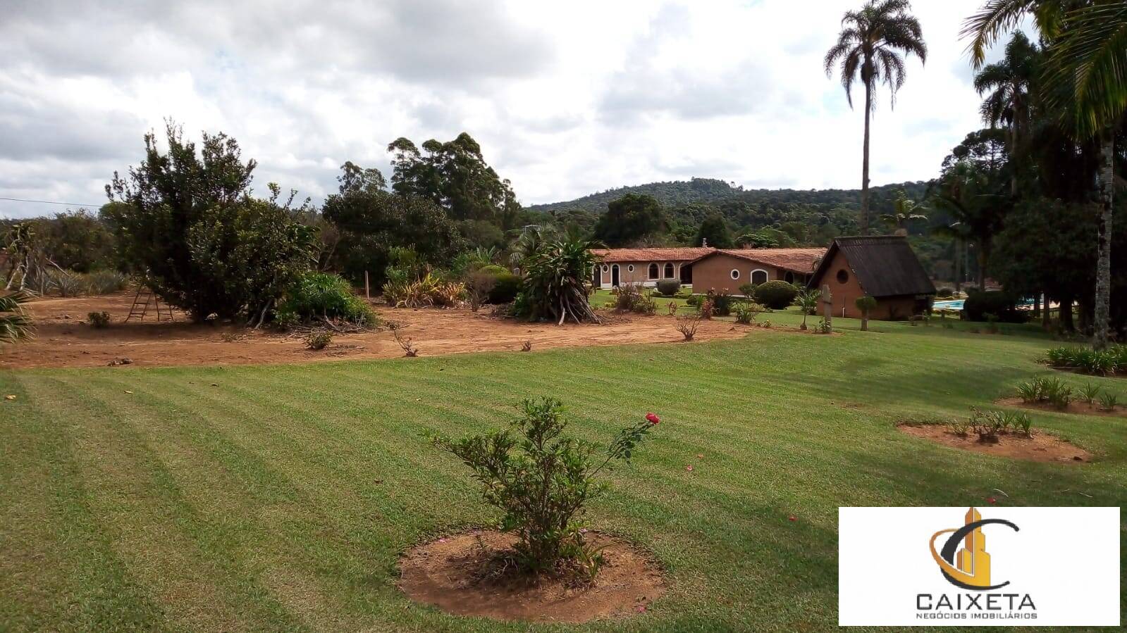 Fazenda à venda com 8 quartos, 24200m² - Foto 10