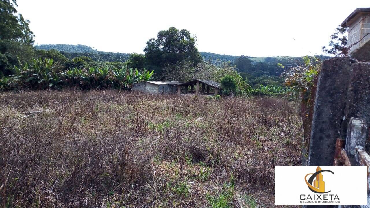 Fazenda à venda com 8 quartos, 24200m² - Foto 41