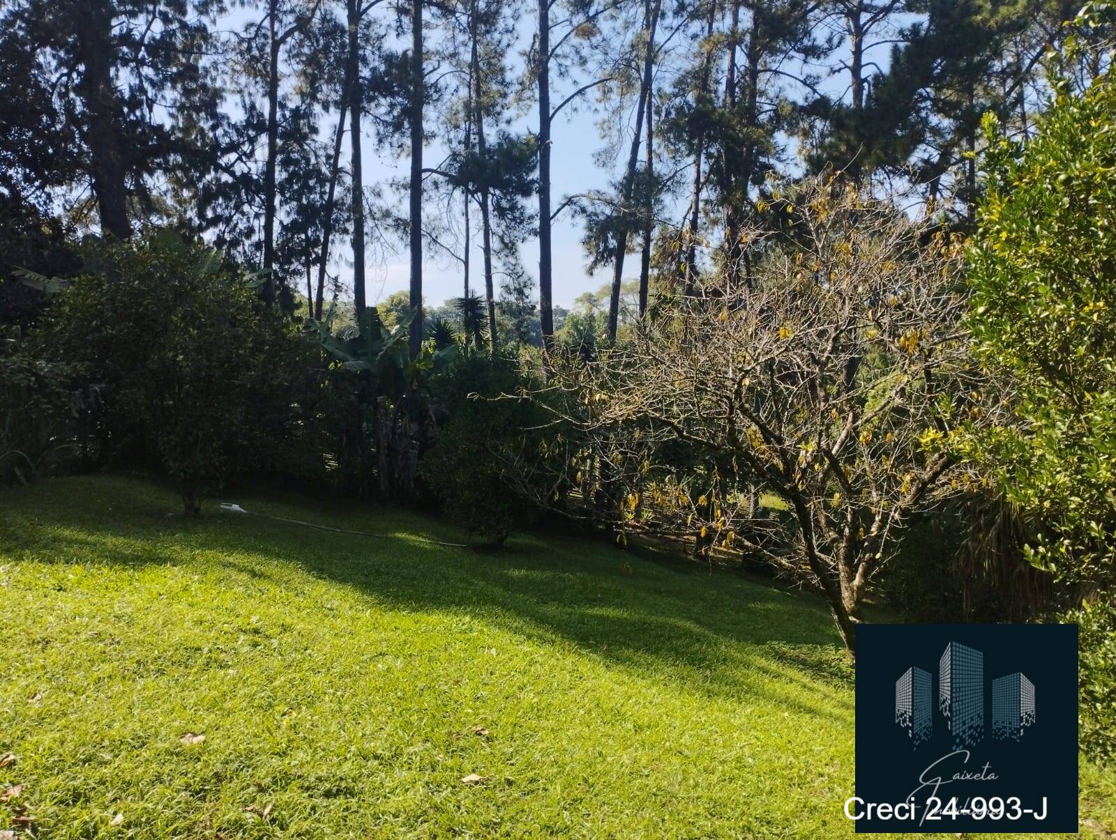 Fazenda à venda com 4 quartos, 900m² - Foto 53