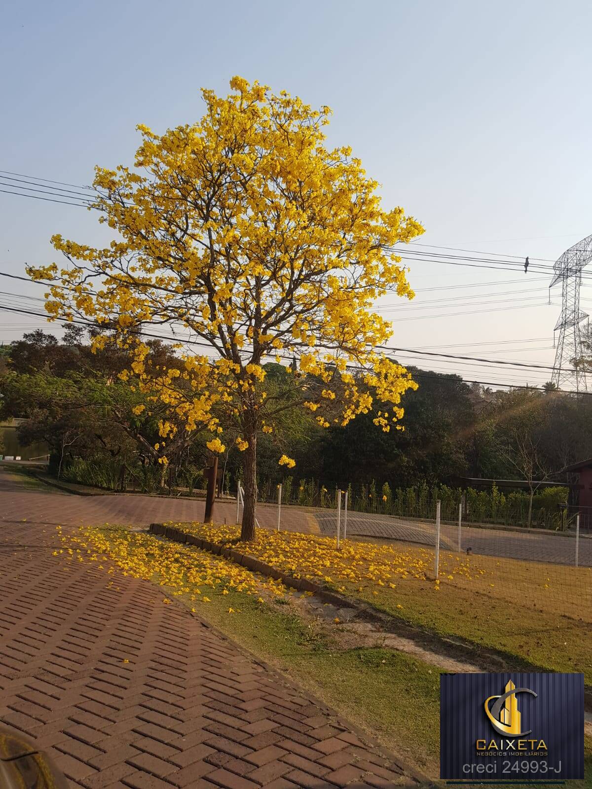 Casa de Condomínio à venda com 3 quartos, 100m² - Foto 54