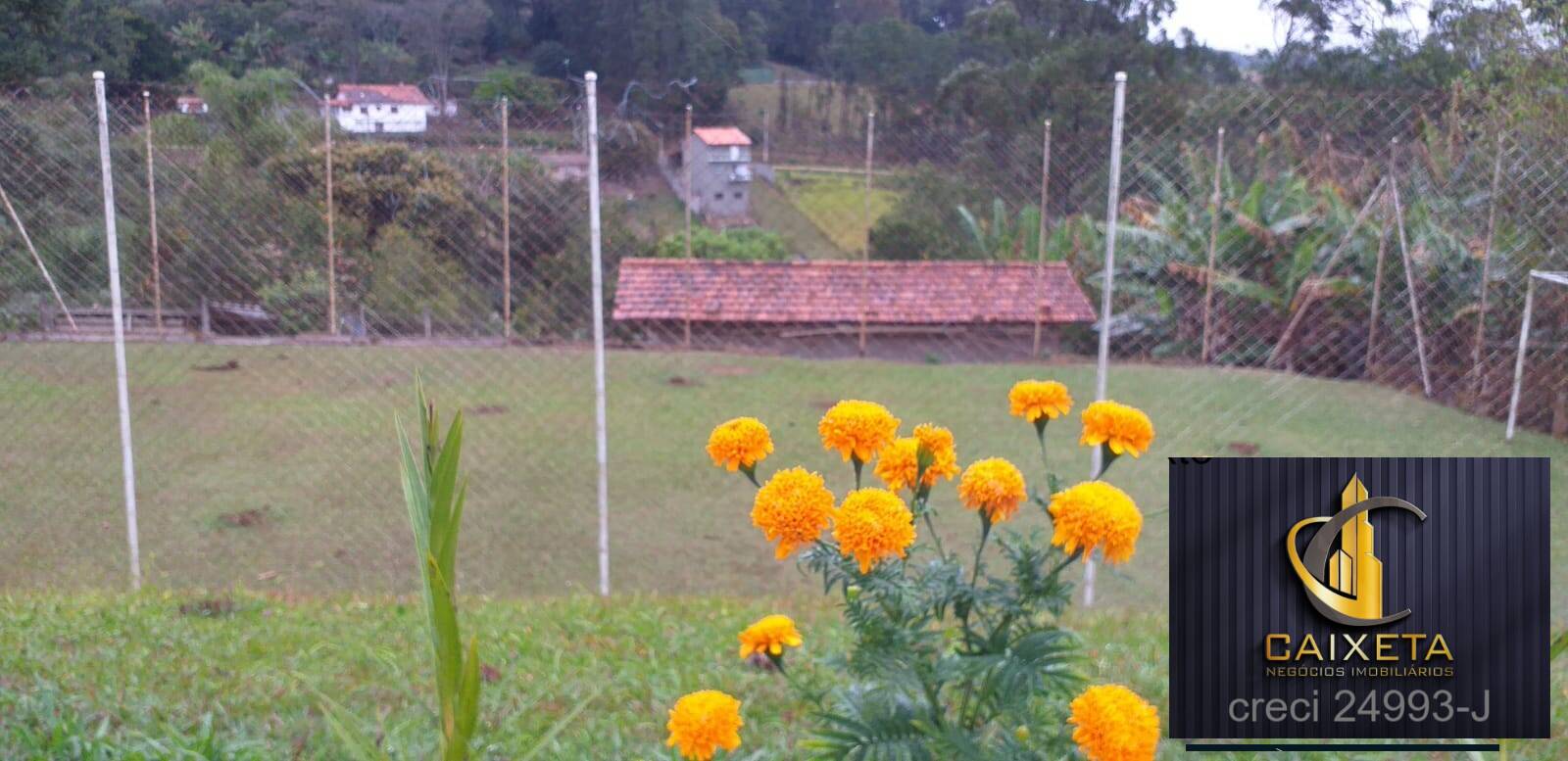 Fazenda à venda com 7 quartos, 600m² - Foto 59