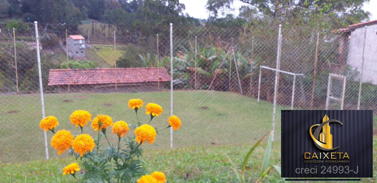 Fazenda à venda com 7 quartos, 600m² - Foto 58