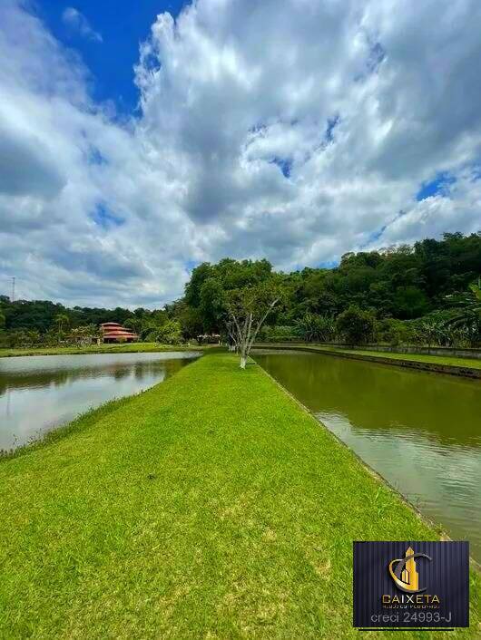 Fazenda à venda com 4 quartos, 1000m² - Foto 4