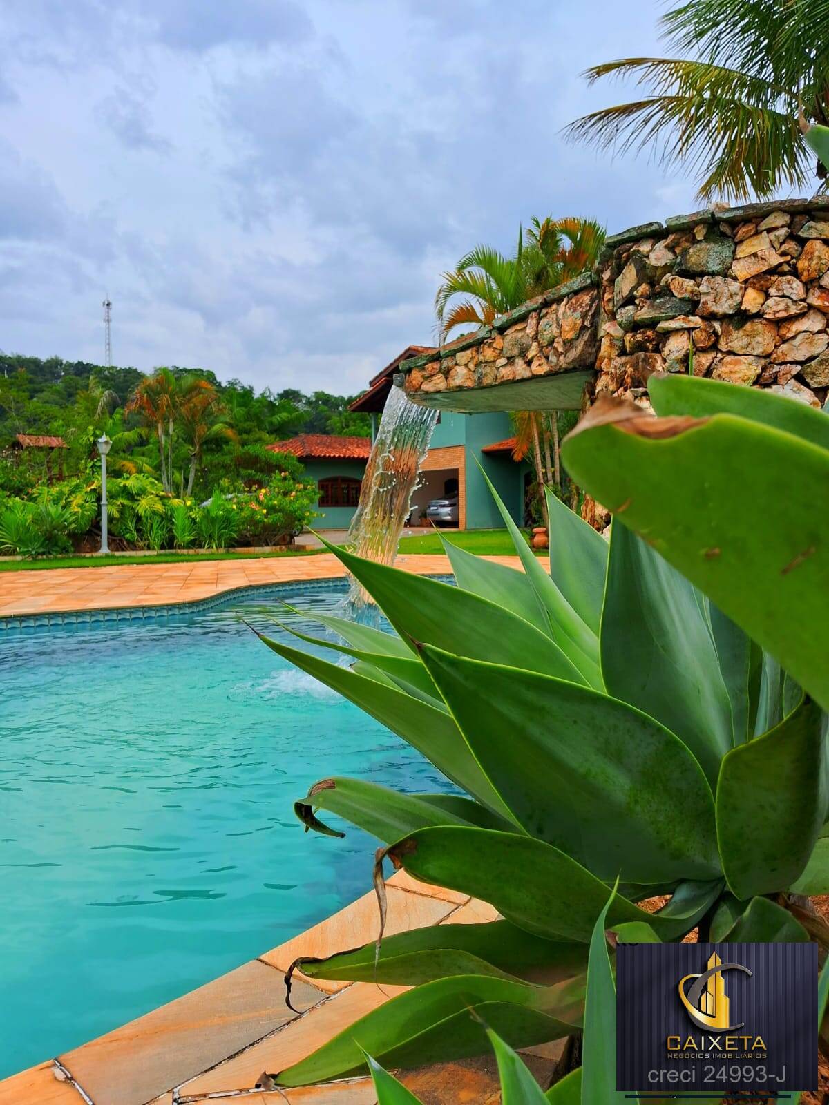 Fazenda à venda com 4 quartos, 1000m² - Foto 5