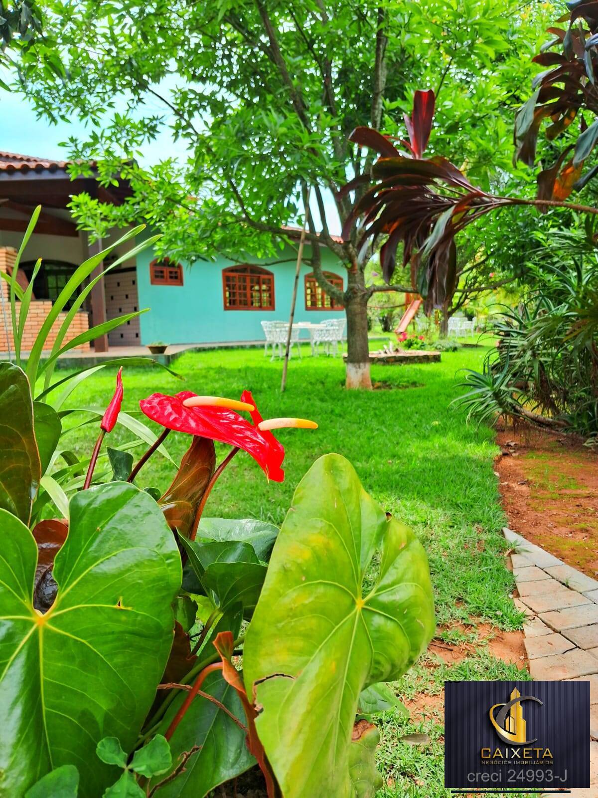 Fazenda à venda com 4 quartos, 1000m² - Foto 10