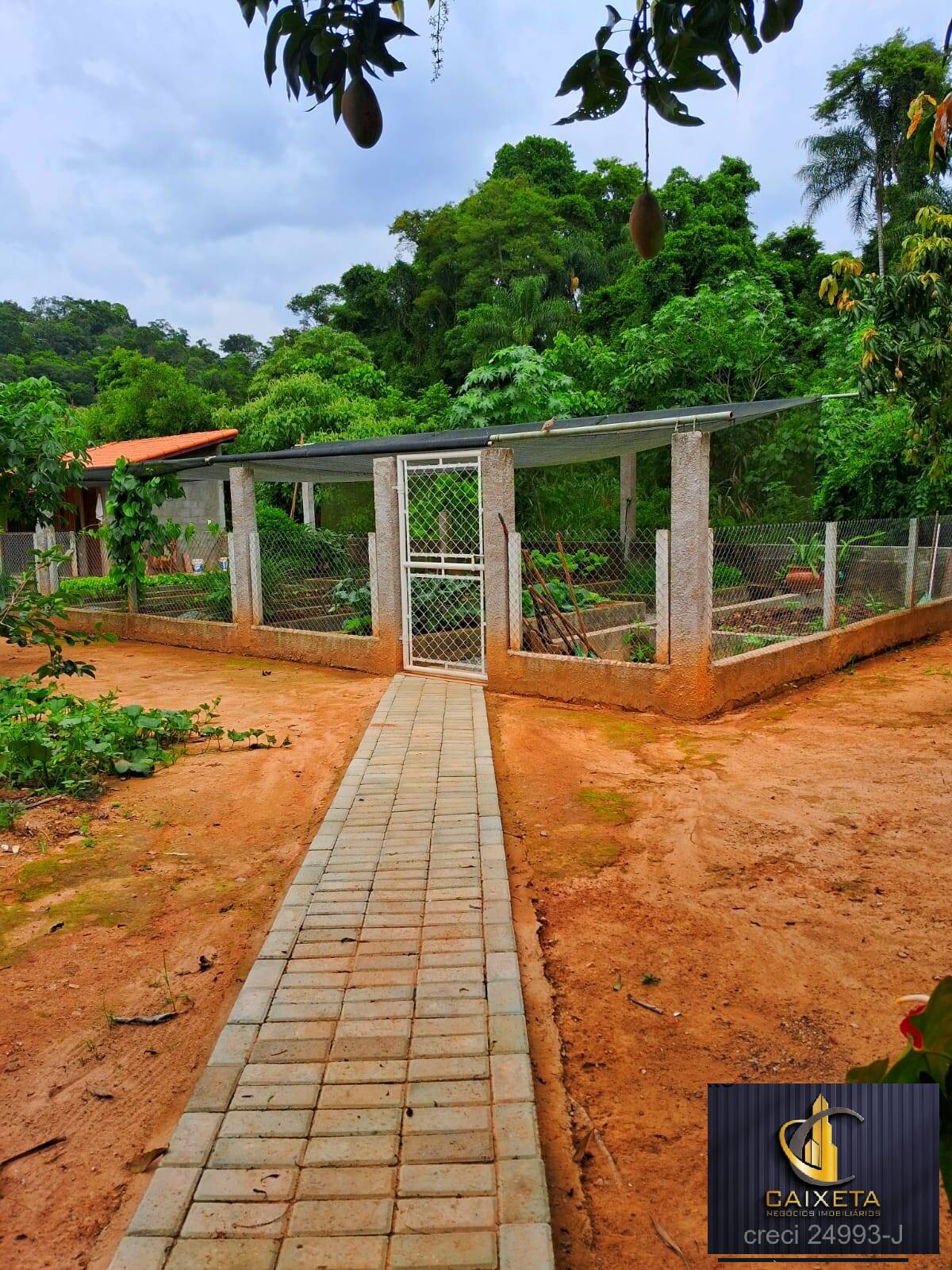 Fazenda à venda com 4 quartos, 1000m² - Foto 31