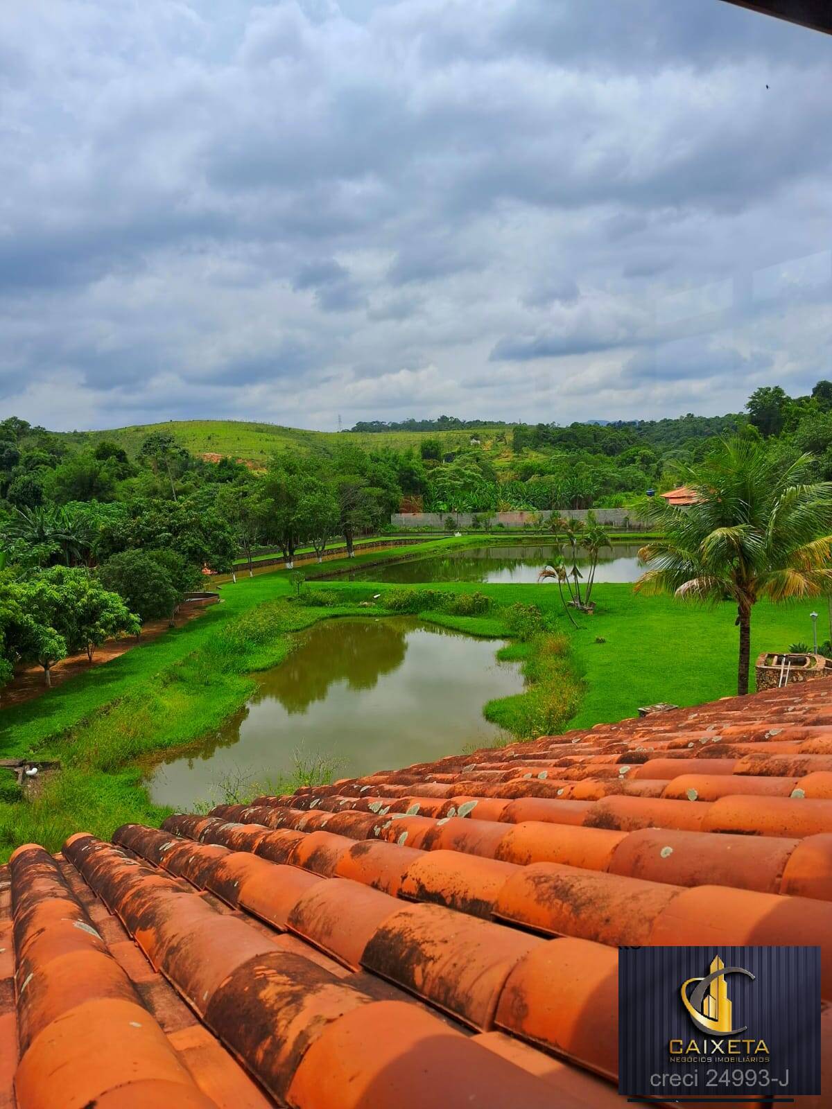 Fazenda à venda com 4 quartos, 1000m² - Foto 77