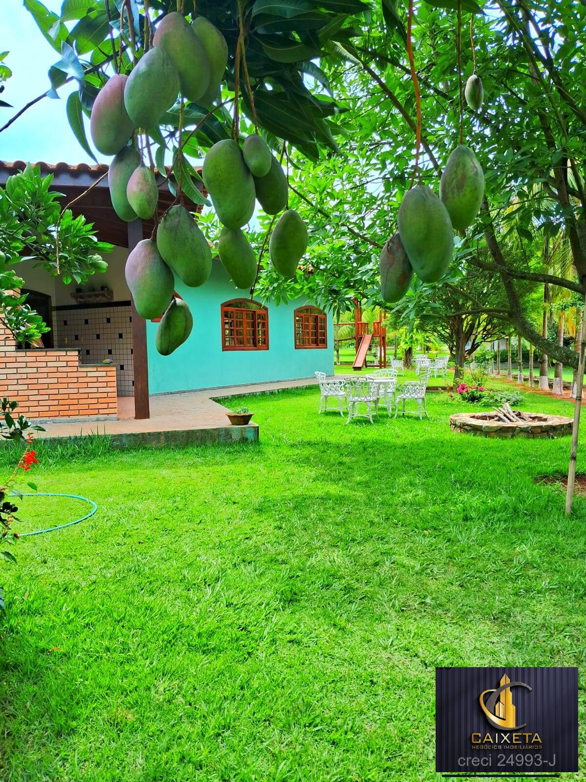 Fazenda à venda com 4 quartos, 1000m² - Foto 21