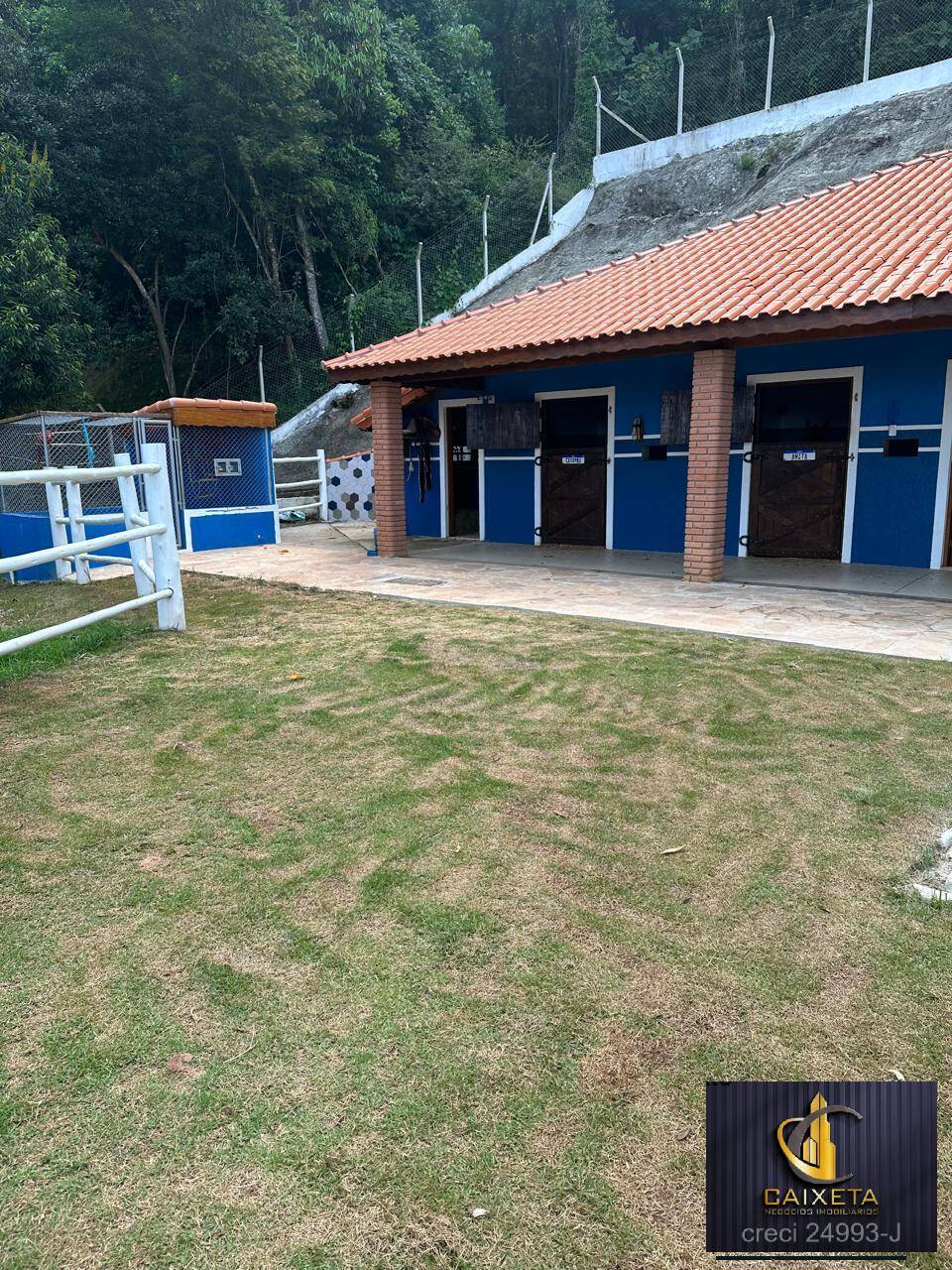 Fazenda à venda com 3 quartos, 420m² - Foto 11