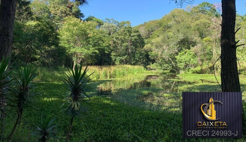 Fazenda à venda com 10 quartos, 100000m² - Foto 9